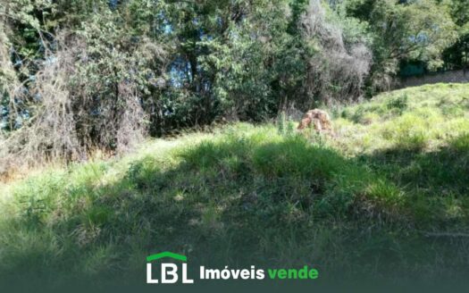 Lote com vista para a cidade!