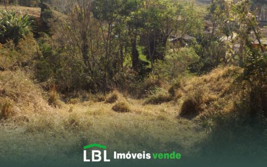 Ótimo terreno de 6.000m², na Boa Vista dos Vicentes, em Bueno Brandão-MG