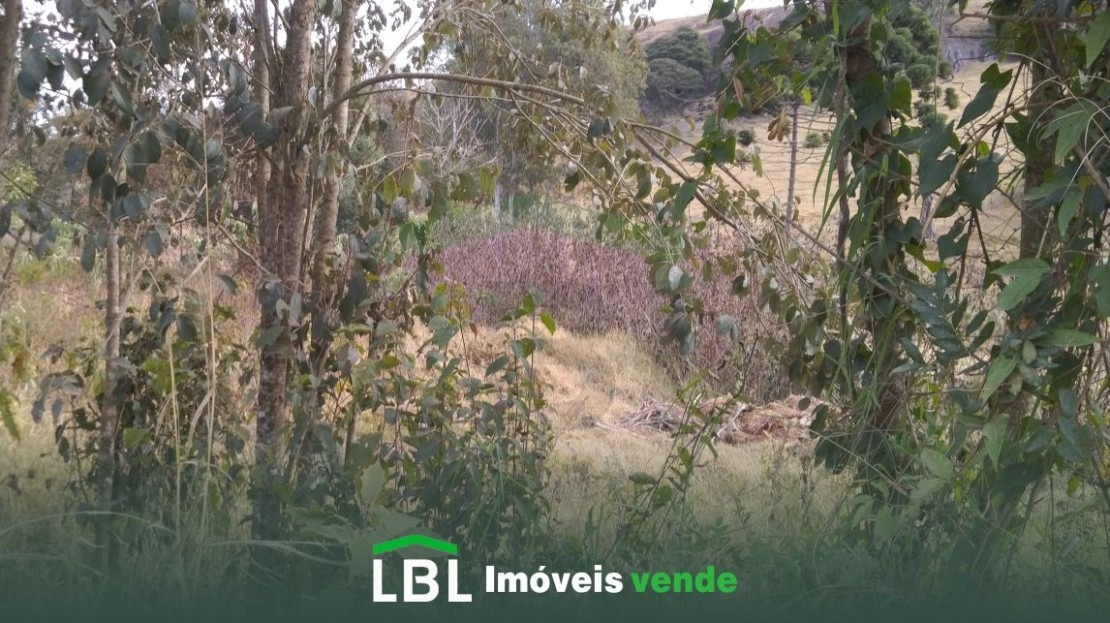 Vende-se terreno em Bueno Brandão- MG