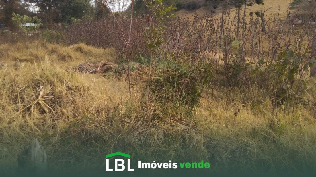 Vende-se terreno em Bueno Brandão- MG