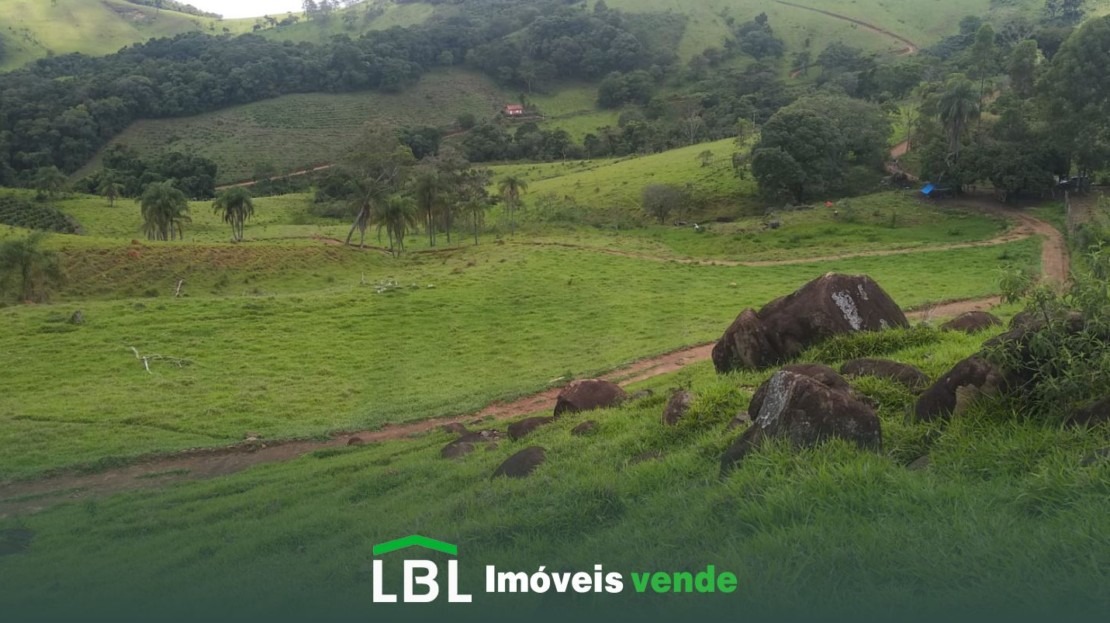 Vende-se imóvel rural em Bueno Brandão-MG