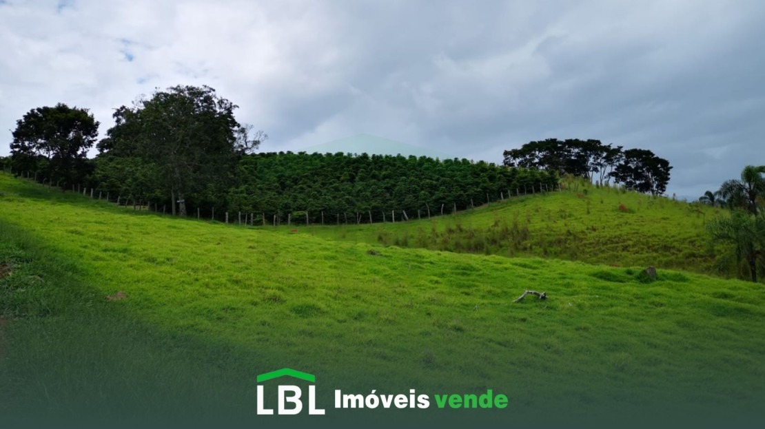 Vende-se imóvel rural em Bueno Brandão-MG