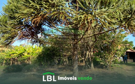 Chácara aconchegante com chalé e muitas árvores nobres e frutíferas!