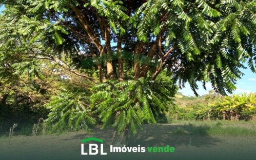 Chácara aconchegante com chalé e muitas árvores nobres e frutíferas!