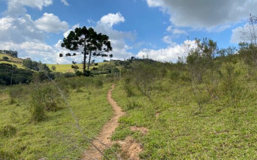 Cachoeira maravilhosa e abundante em Bueno Brandão, Minas Gerais!