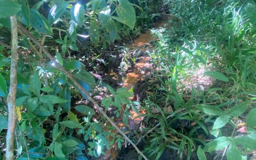 Oportunidade única para quem busca contato com a natureza e tranquilidade!