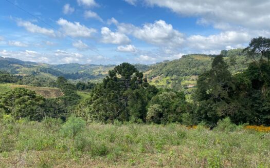 Terreno à Venda 10 Alqueires | Munhoz-MG
