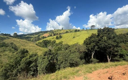 Terreno à venda com 4.900m²