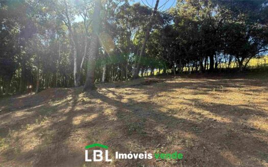 Terreno de 6.000m em Bueno Brandão