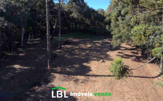 Terreno de 6.000m em Bueno Brandão