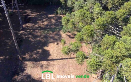 Terreno de 6.000m em Bueno Brandão