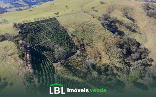 Oportunidade: Glebas de 20.000 m² a partir de R$ 220 mil